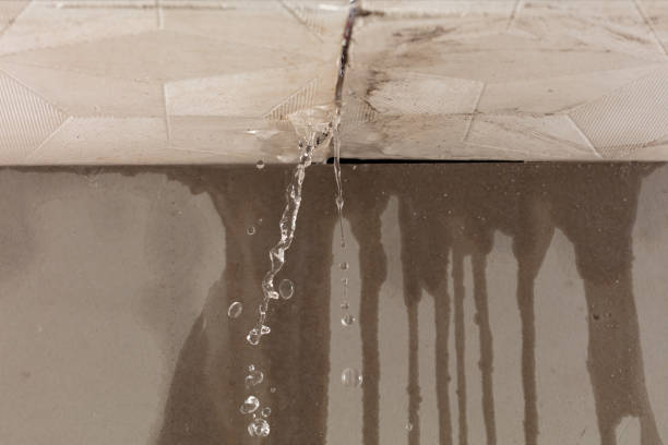 Professional Flood Damage Cleanup technician working in Viewtown, VA